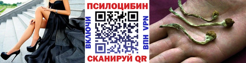 Галлюциногенные грибы MAGIC MUSHROOMS  Ртищево 